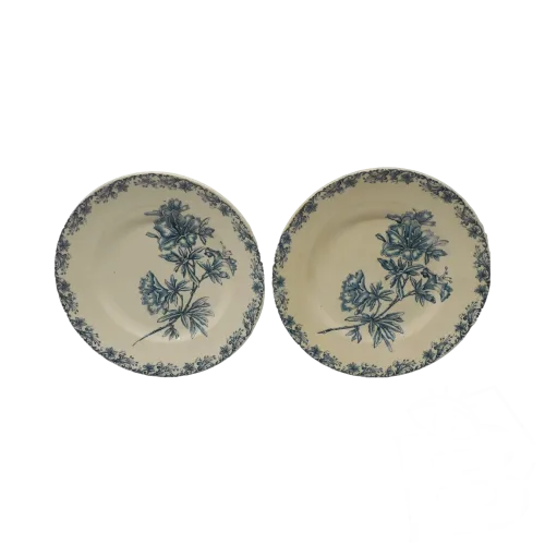 -2 ASSIETTES GRANDS ETABLISSEMENTS CERAMIQUE SAINT AMAND modèle FLORE D