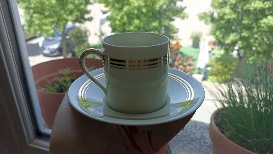 Tasse à espresso Raynaud Porcelaine de Limoges Prestige - 1